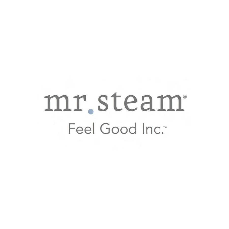 Mrsteam Logo
